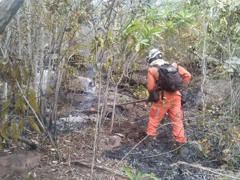 Bombeiros militares combatem incêndios florestais em Lençóis com apoio de aeronave