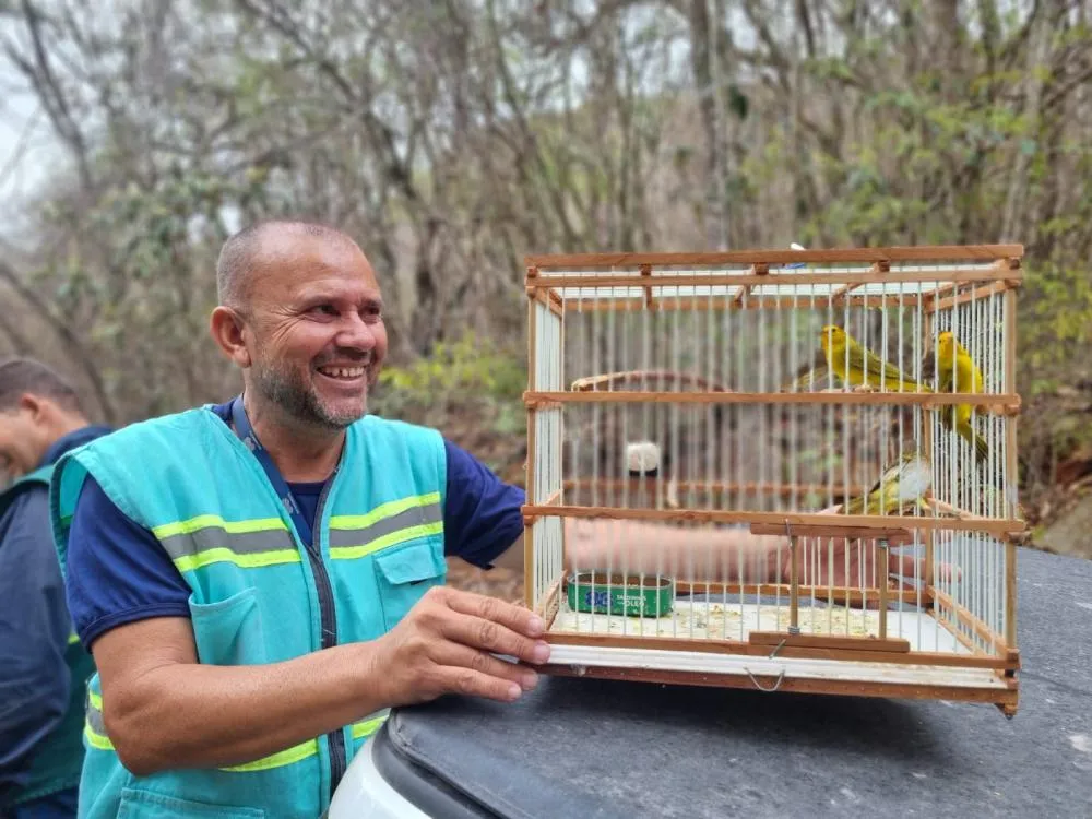 47 pássaros reabilitados são reintroduzidos na Serra das Éguas em Brumado