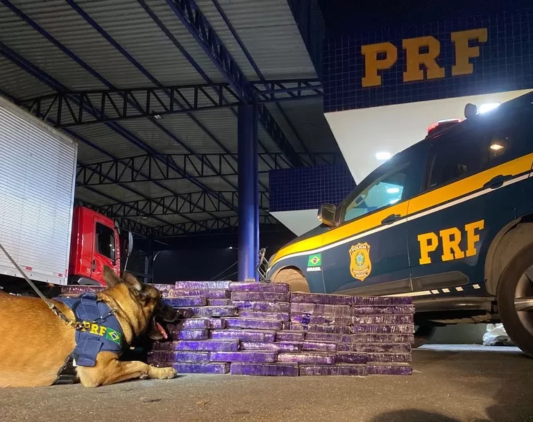 Cão farejador da PRF localiza 150 kg de maconha em caminhão em Vitória da Conquista