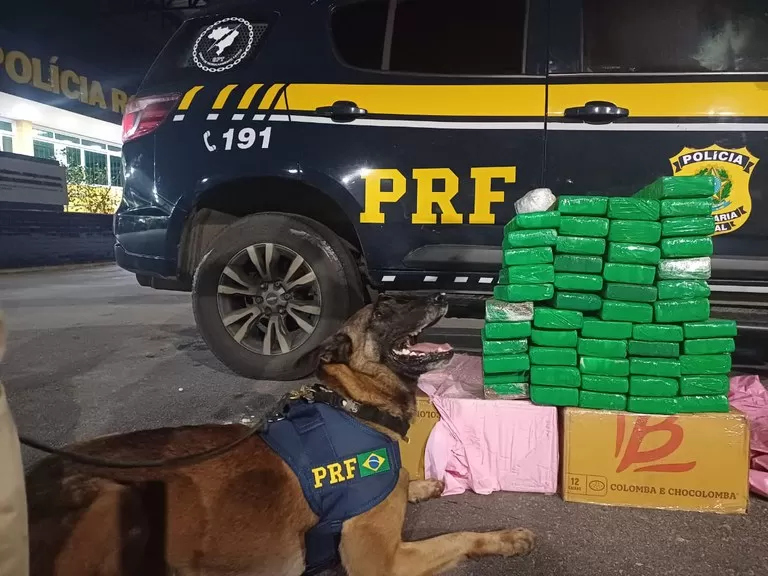 Combate ao tráfico de drogas: Em Vitória da Conquista, PRF apreende cerca de 50 kg de maconha
