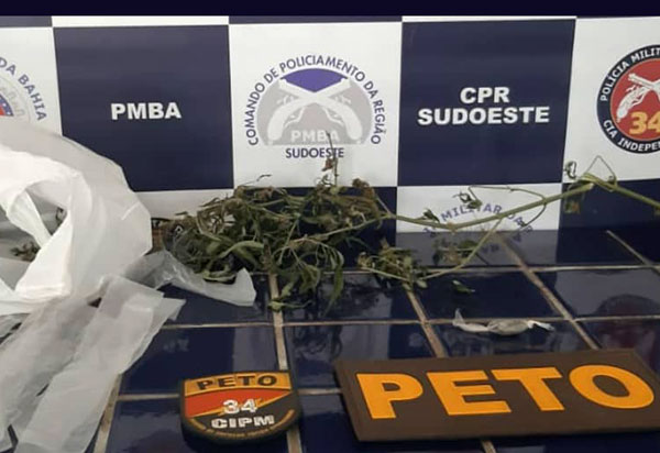 Brumado: Homem é detido após ser flagrado com pé de maconha